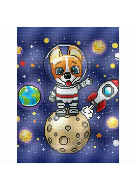 Алмазна мозаїка Коргі в космосі (DRBS0099) Brushme (370264710)