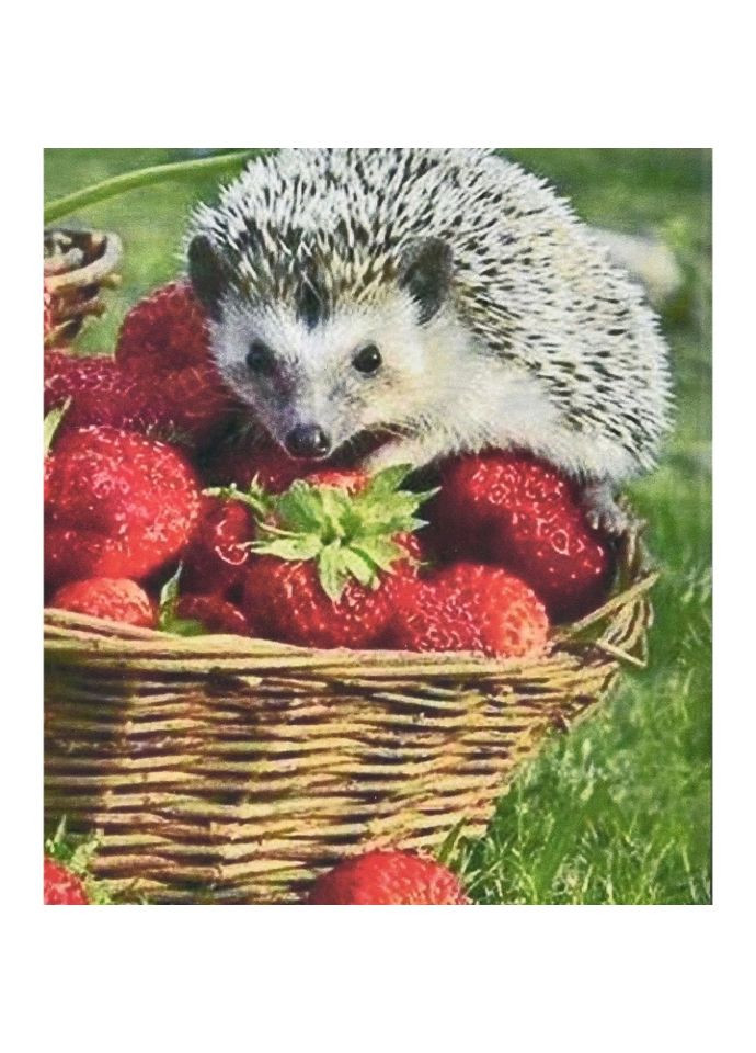 Алмазная мозаика "Ежик и клубника" HEG86093 30х40 см Strateg (322433829)