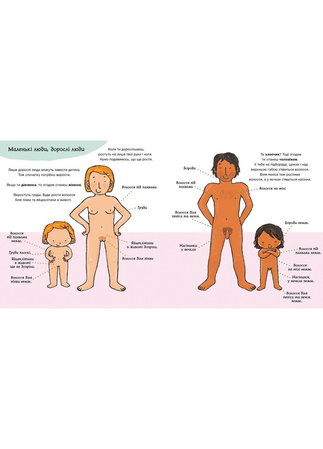 Откуда берутся дети? Паулина Ауд. Серия: Детям об интимном РАНОК (301872601)