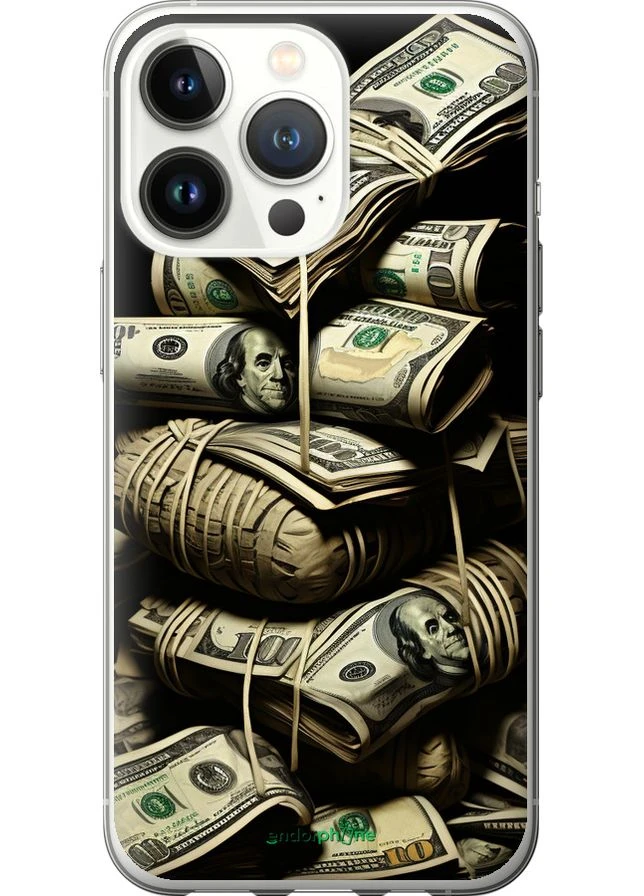 Чехол на iPhone 13 Pro Big money "5666u-2372-70447" Endorphone (370040377)