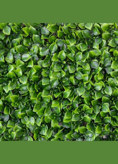 Декоративна панель зі штучної зелені Білий цвіт 40*60 см (9224-005) ELISEY (362961643)