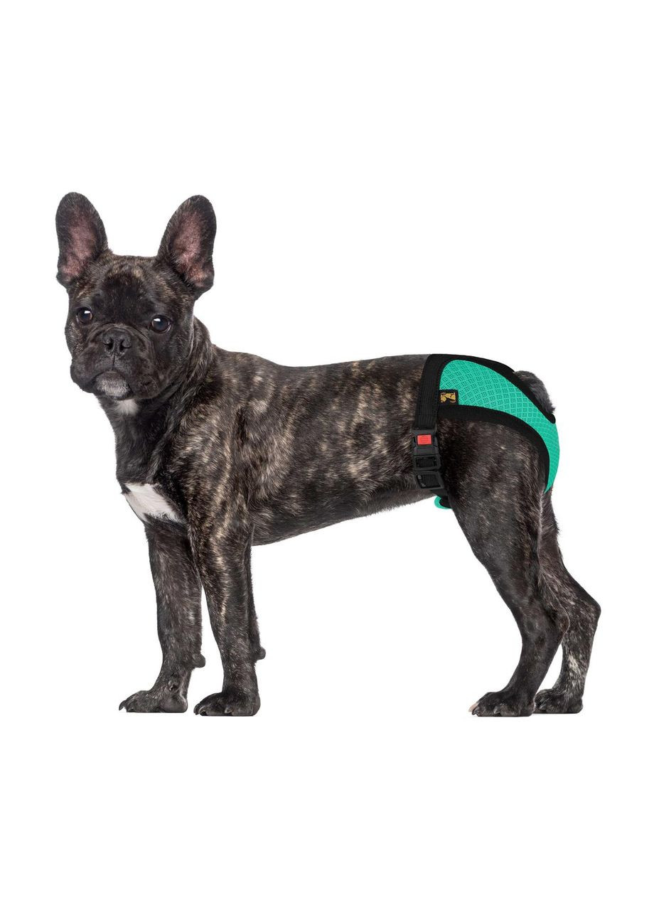 Трусы гигиенические Bronzedog Mesh регулируемые 3D сетка Ментоловые Barksi (370549738)