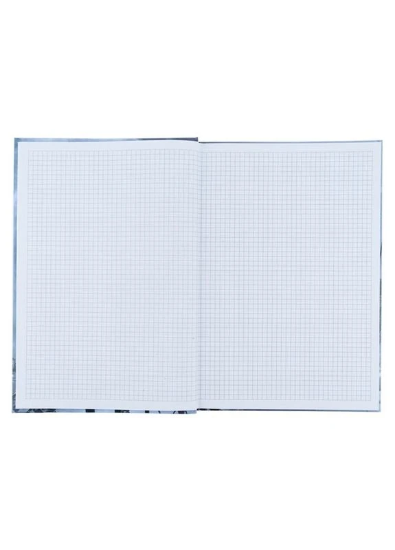 Книга записная А4 96л., клетка, Glory Axent (380729977)