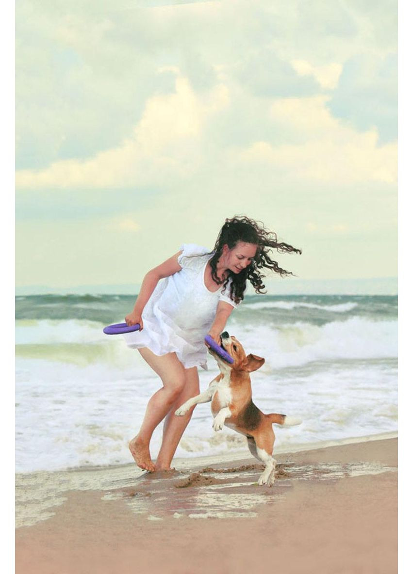 Тренувальний снаряд для собак PULLER 19.5 см Collar (362136126)