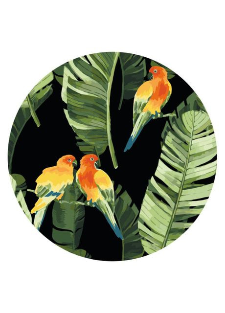Картина за номерами Папуги в тропіках (RC00018M) Brushme (370264611)