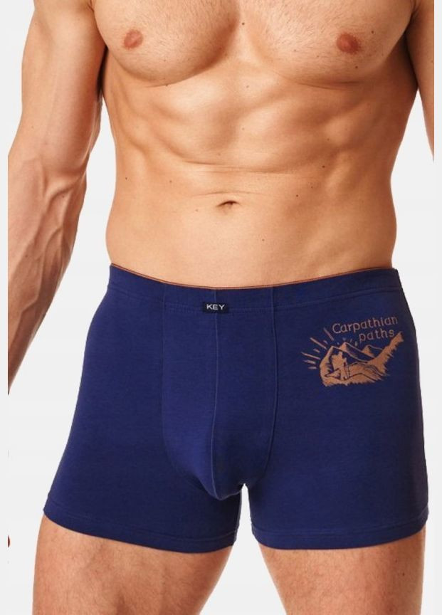 Мужские трусы шорты SZORTY MXH-868 B22 GR р. Key Боксери (301363101)