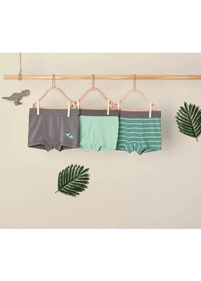 Трусы 3 шт Lupilu (366890348)