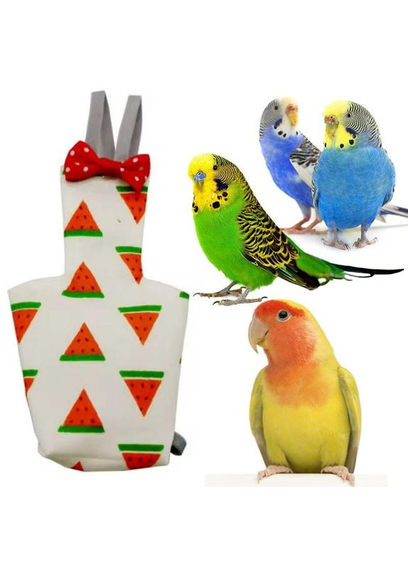 Памперс для папуги багаторазовий, для хвилястика, нерозлучника та інших, візерунок з кавунами No Brand (370290294)