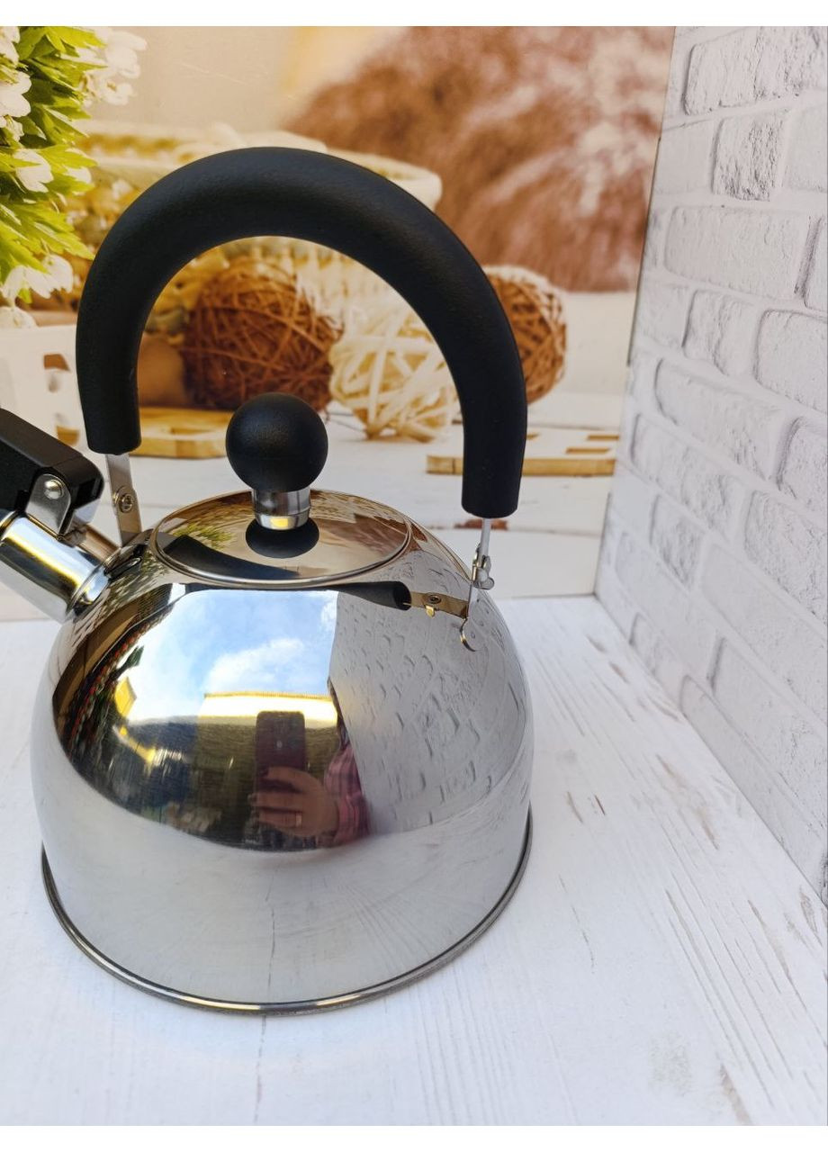 Чайник зі свистком 1318 з нержавіючої сталі 1.5 л Сталевий A-Plus (361308769)