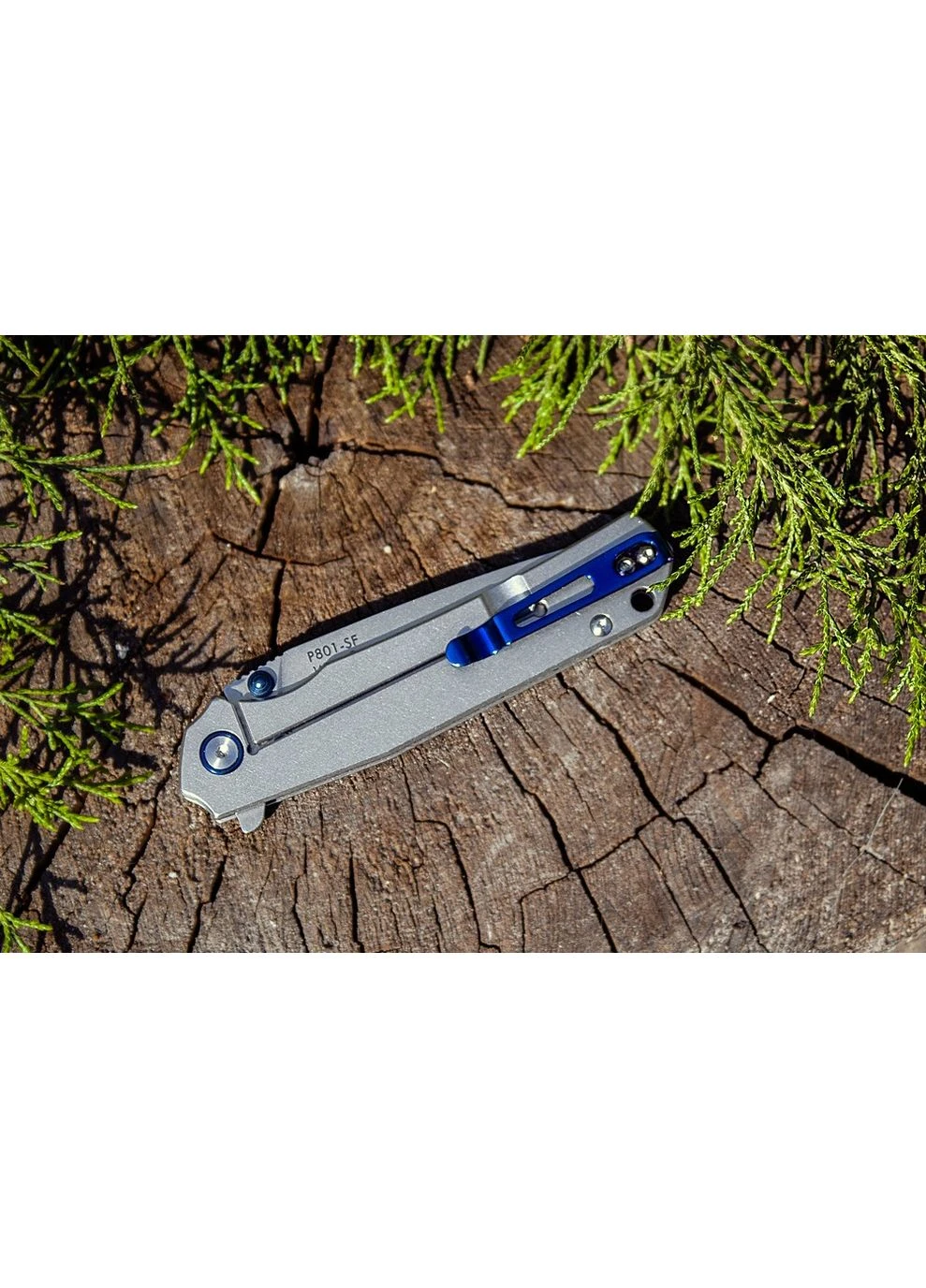 Ніж складаний P801-SF (A-015625) Ruike (339870147)