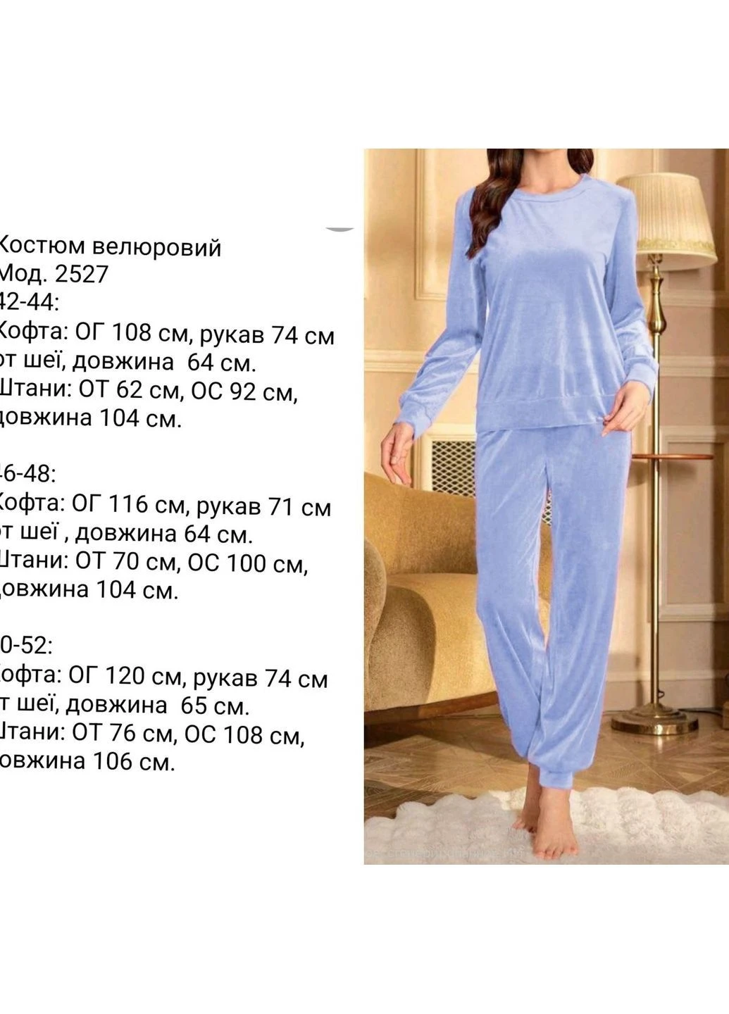 Жіночий велюровий домашній костюм No Brand (381180113)