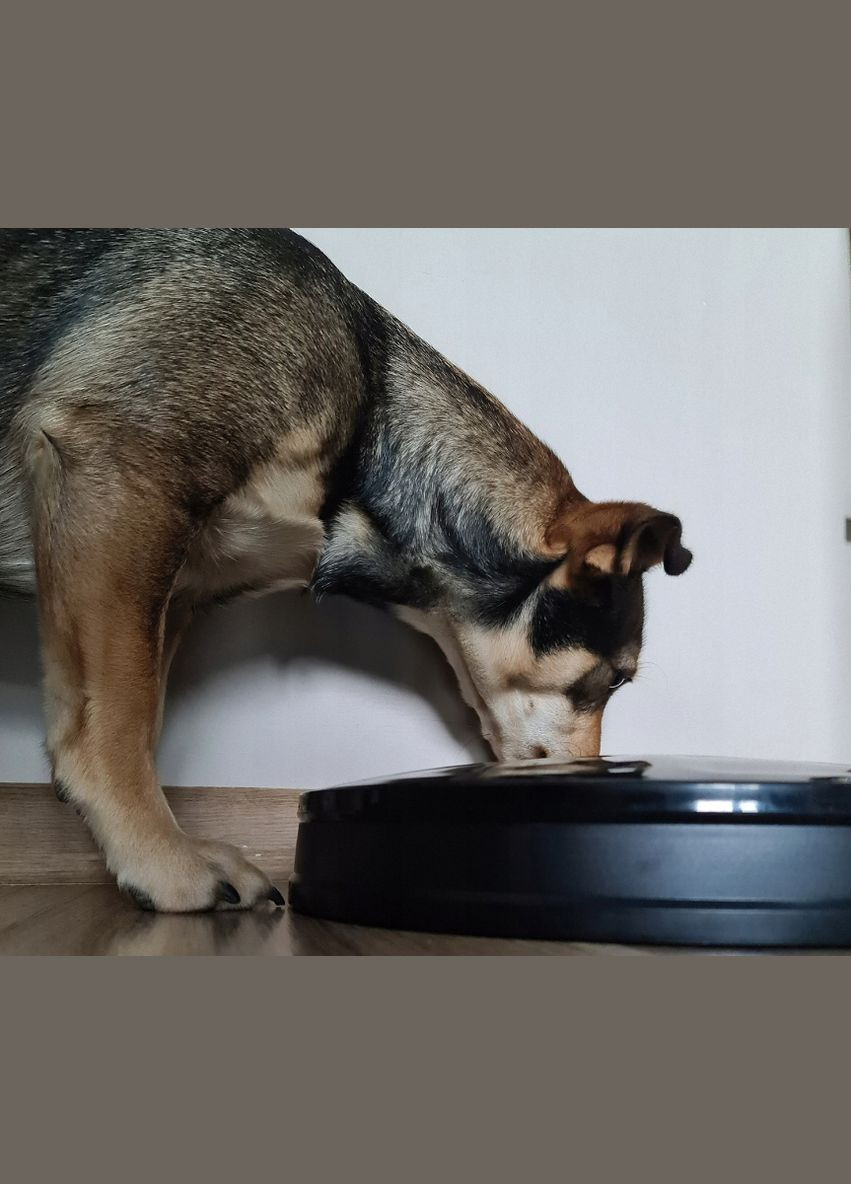 Автоматическая кормушка для котов и собак 0,9 л Purlov (340073062)