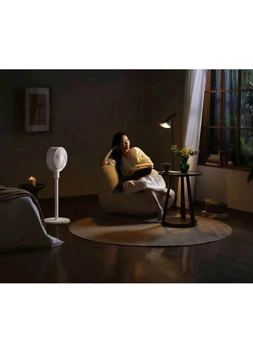 Вентилятор Circulation Fan (BPLDS08DM) [139661] MiJia (399257061)