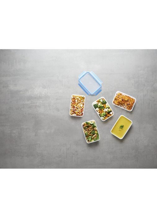 Контейнер MasterSeal (K3021812) Tefal (329194293)