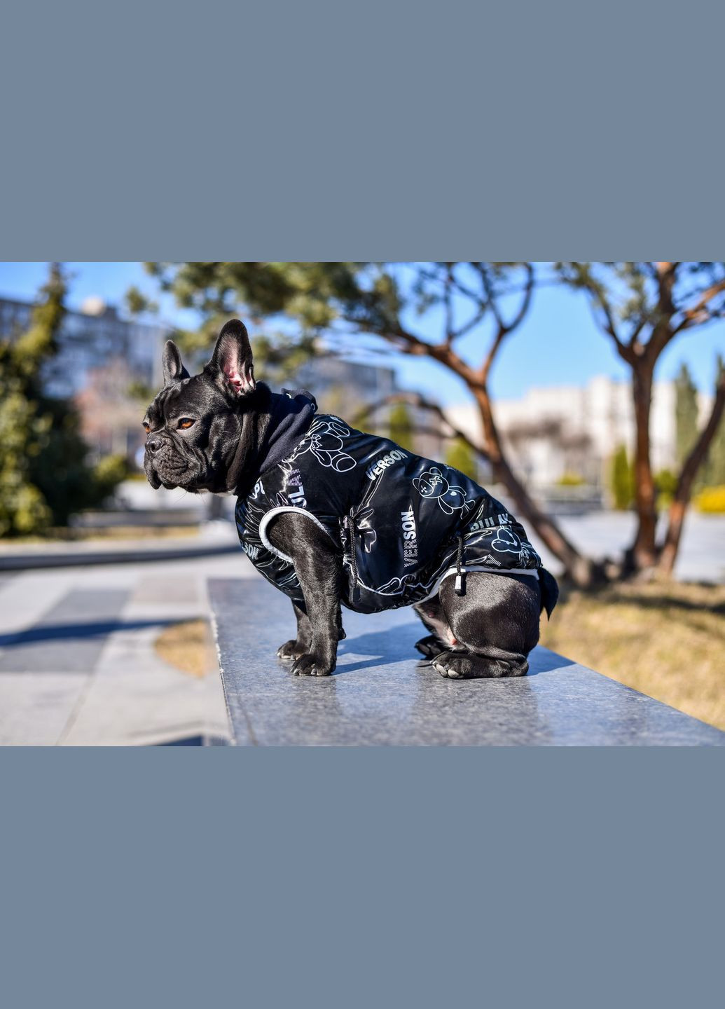 Жилет для собак Pulay, (*) SmartPet (323153137)