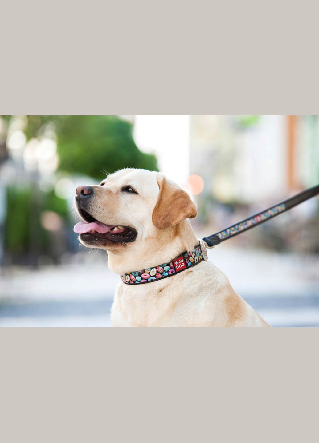 Ошейник для собак кожаный Design с QR паспортом, рисунок "Пончики", XL, Ш 35 мм, Дл 46-59 см, черный WAUDOG (332880644)