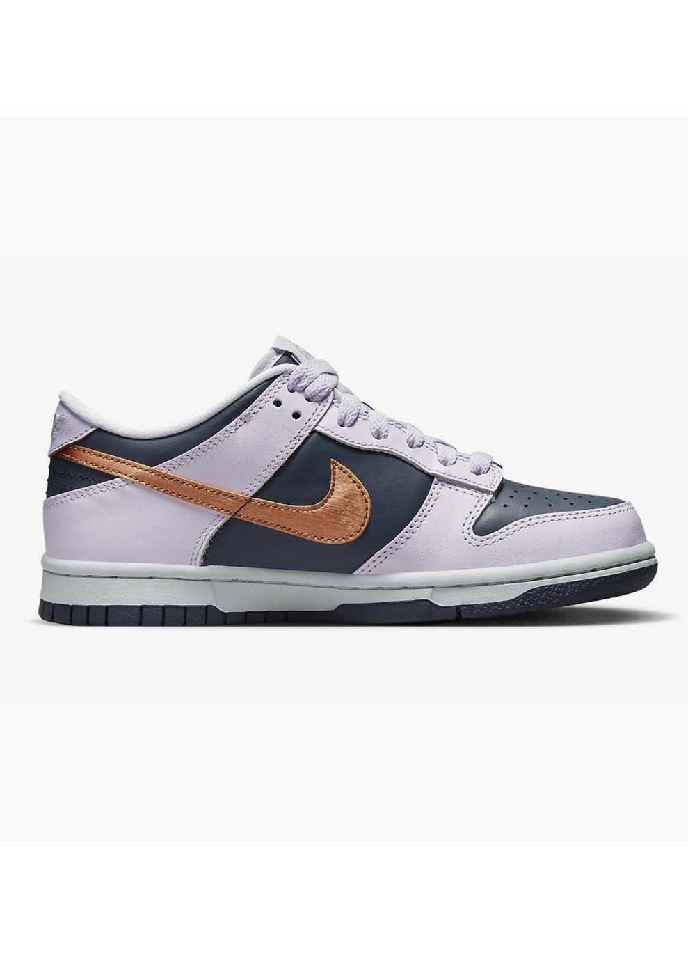 Сірі Осінні дитячі кросівки dunk low se 1 сірий Nike