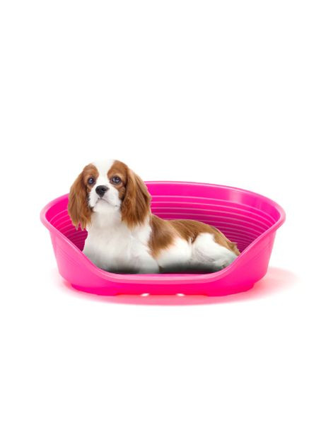 Лежак пластиковый для собак и котов Siesta Deluxe 6 70.5х52х23.5 см розовый 70206916 Ferplast (269341721)