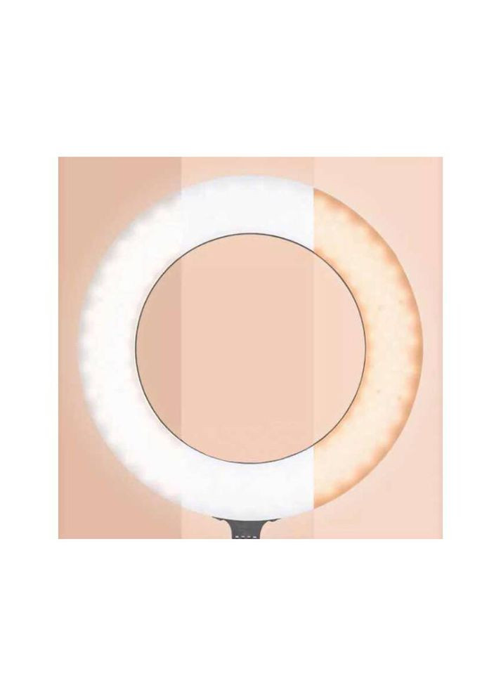 Кольцевая лампа + Холдер для смартфона и микрофона BGD006/LS-90 Black XO (368788891)