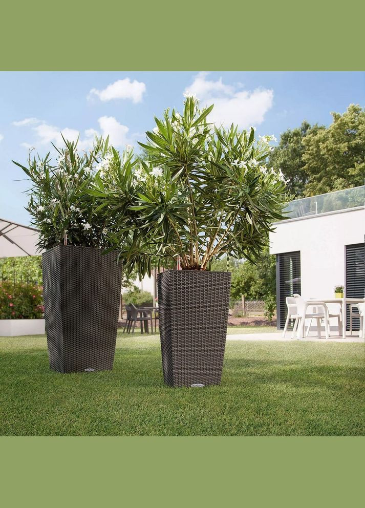 Умный вазон Cubico Cottage 30 14 л светло-серый 15157 Lechuza (316617827)