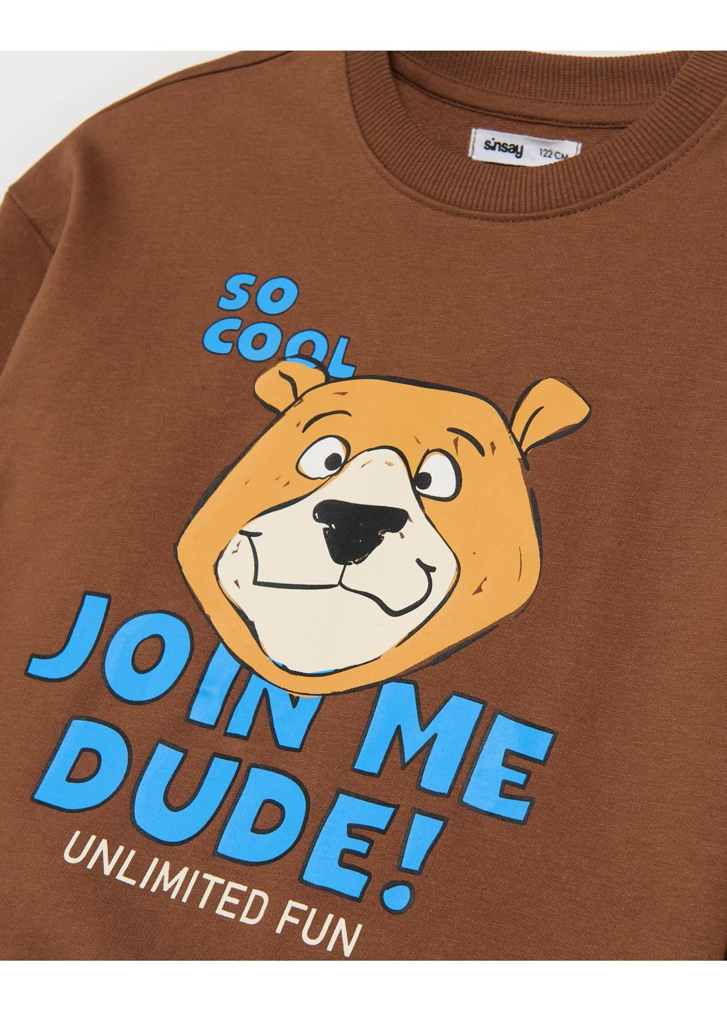Sinsay світшот для хлопчика . малюнок коричневий повсякденний трикотаж