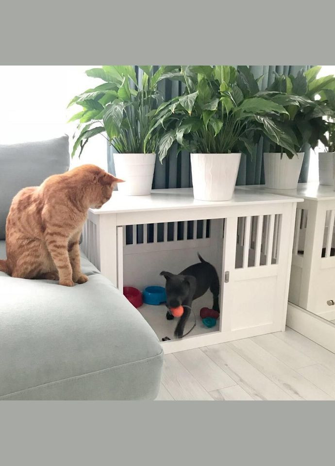 Будка для собаки из дерева Пиньйос зефир (БДК-000620) No Brand (328605411)