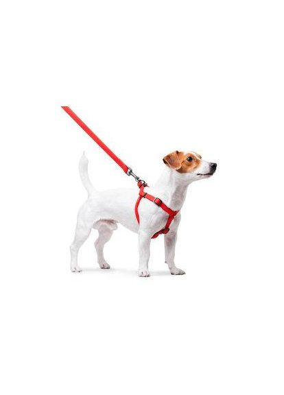 Шлейка для собак WAUDOG Waterproof, с QR-паспортом Collar (362136359)