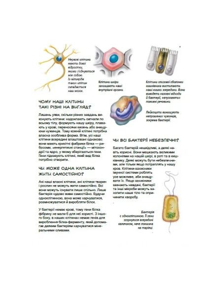 Геніальні гени РАНОК (370054286)