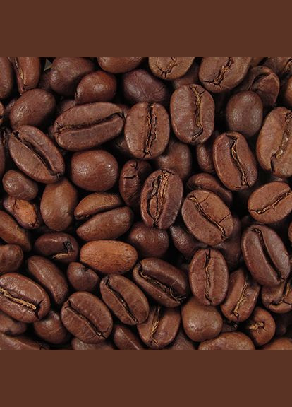 Кофе в зернах Папуа Новая Гвинея 100g No Brand (330633564)