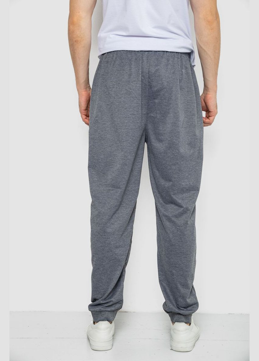 Серые спортивные демисезонные брюки Ager
