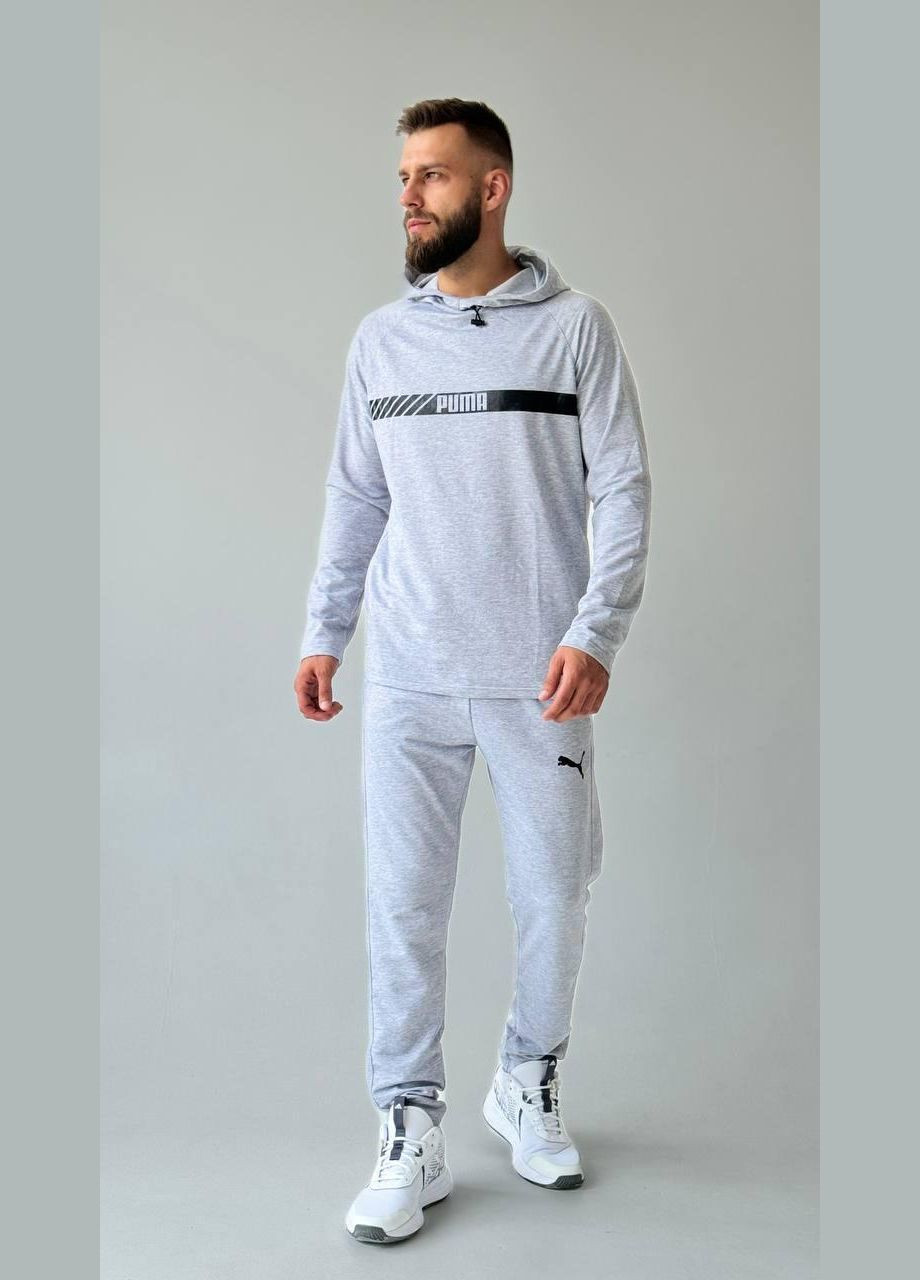 Чоловічий спортивний костюм Puma світло-сірий No Brand (353848852)