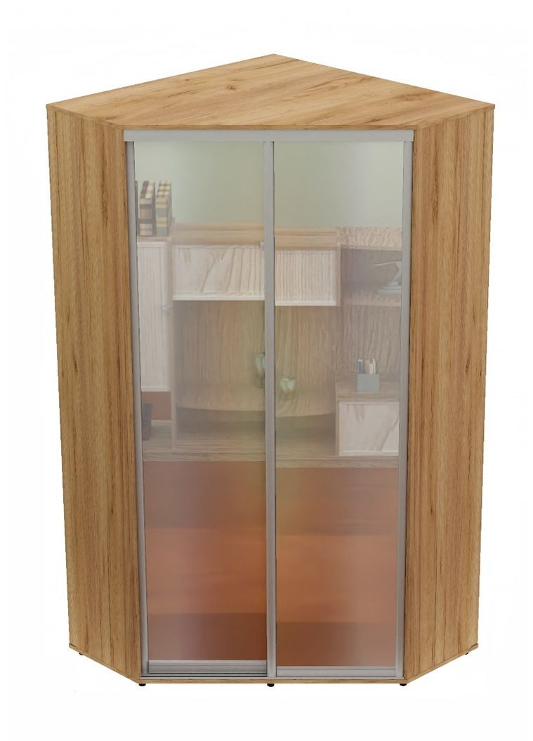 Шафа-купе дводверна кутова 100*100*250 см Дуб крафт золотий 2 двері Дзеркало Кут-1 Алекса (360471560)