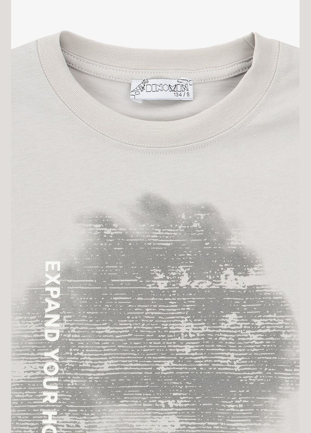 Серая летняя футболка с принтом для мальчика m91 116 см серый shop (2000991039476) Dinomin