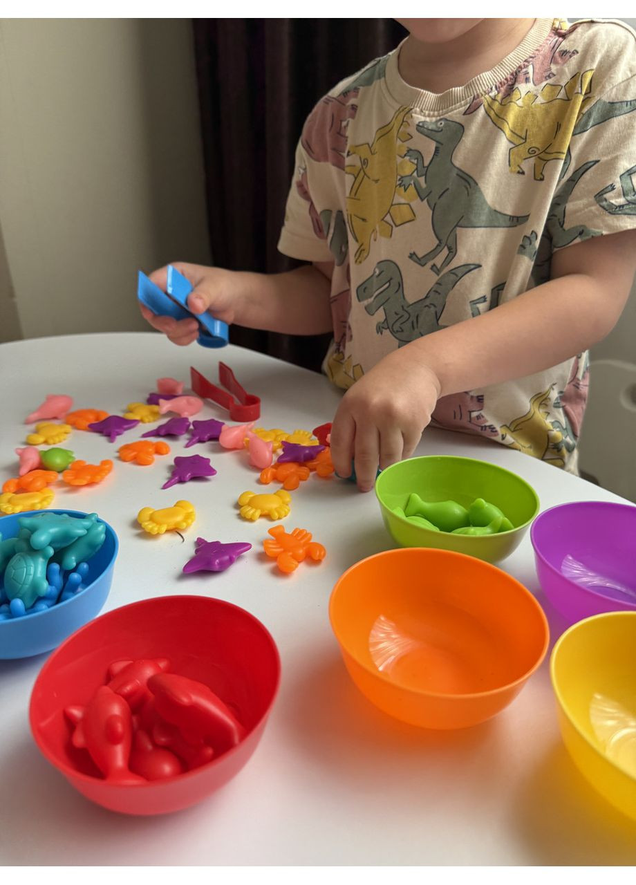 Набір для сортування 56 деталей з мисочками і пінцетом | Розвиваюча гра для дітей No Brand (364553119)