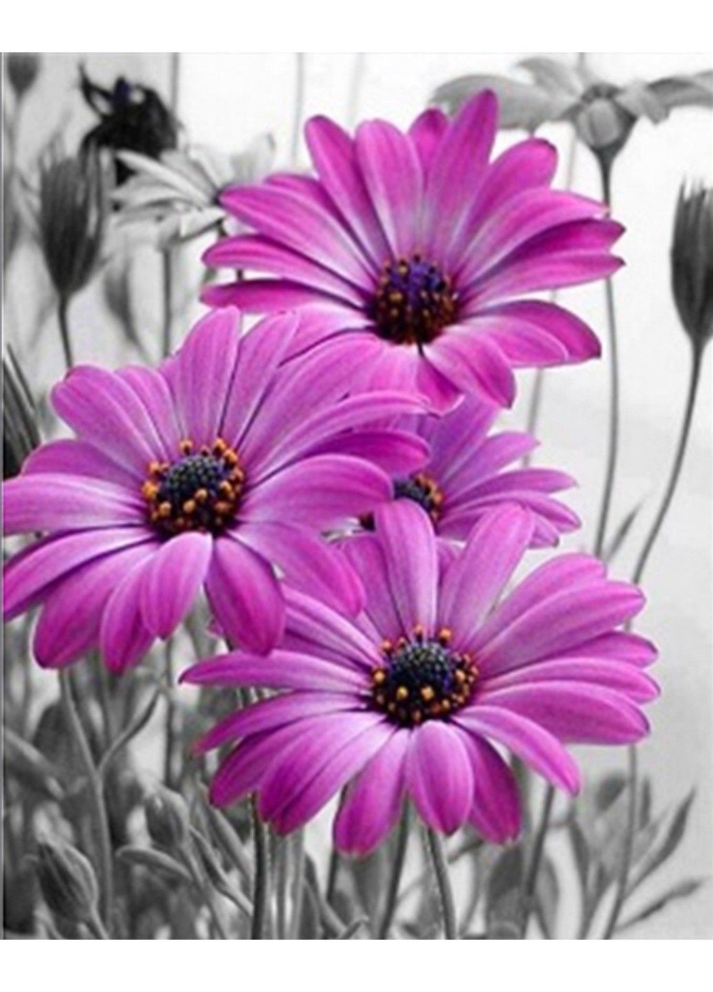 Набір Алмазна мозаїка вишивка Оригінальний букет з гербер на підрамнику повна 5d 40х50 см No Brand (332208133)