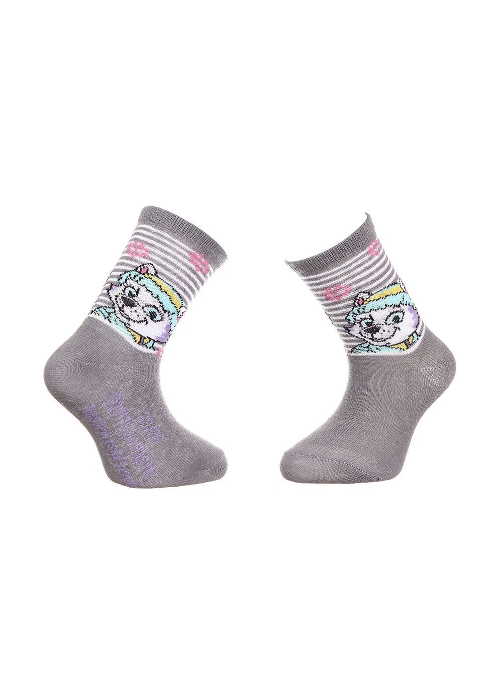 Шкарпетки Stella Heart gray Paw Patrol (333959313)