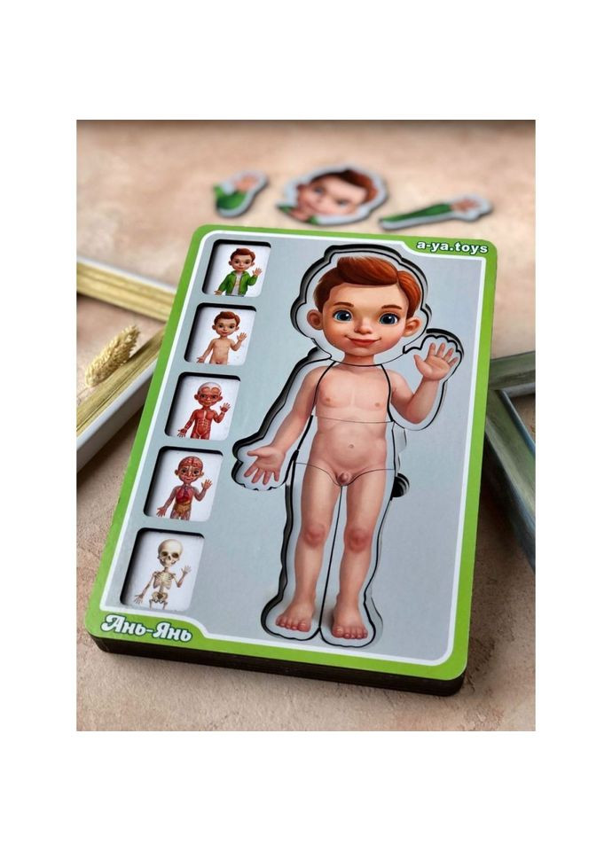 Дерев'яний пазл-вкладиш "Анатомія людини – хлопчик" (ПСФ026) PSF026 будова тіла Ubumblebees (336332405)