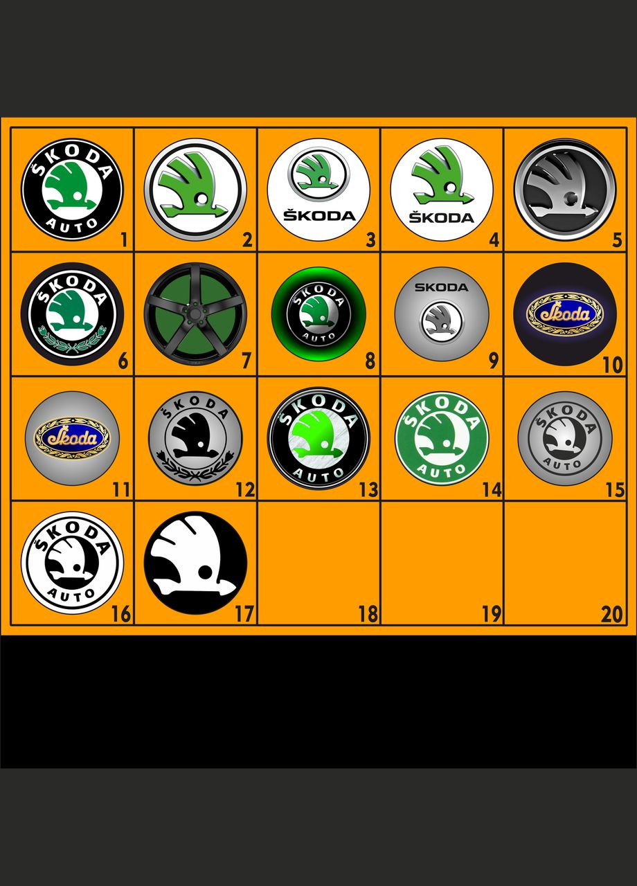 Обложка для автодокументов, глянцевая Skoda (331017694)