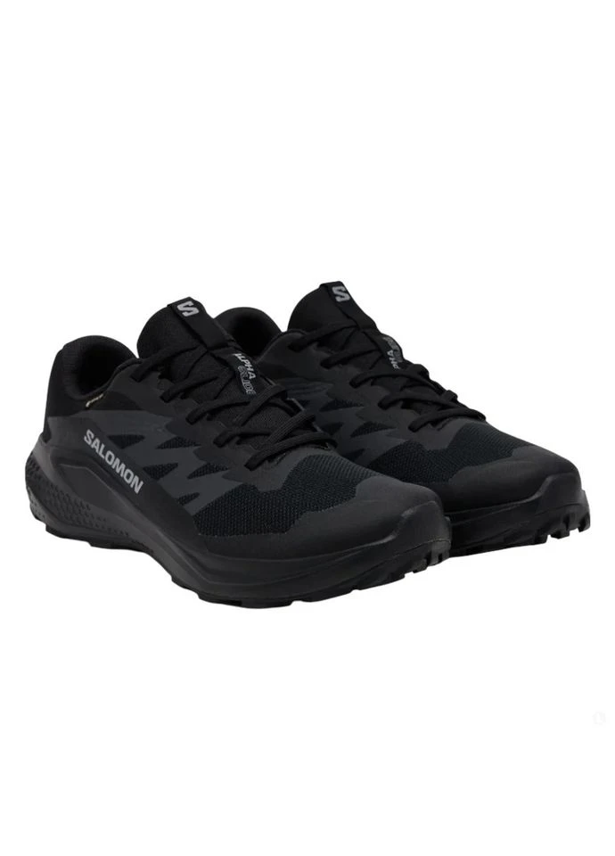 Комбіновані кросівки alphaglide gtx black l47802100 11 ( ) чорний l47802100 всесезон Salomon