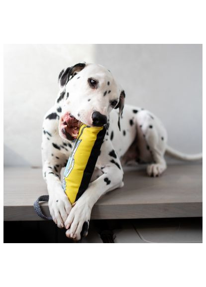 Игрушка для собак Fun "Год и Морти 2" с пискавкой M (630-0281) WAUDOG Fun "Рік і Морті 2" з пискавкою M (372111342)