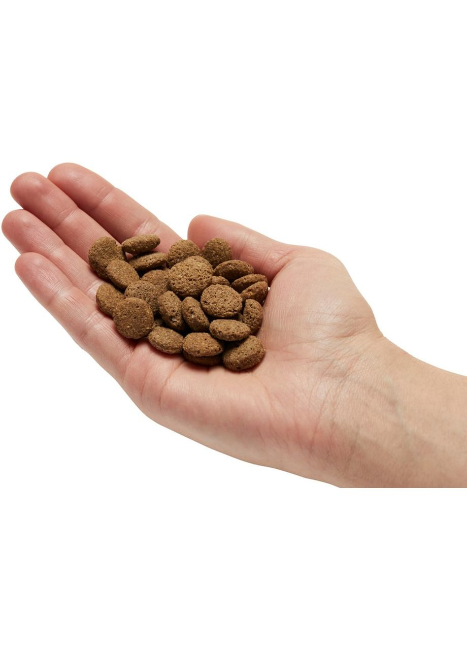 Сухой корм для взрослых собак Lachs&Reis с лососем и рисом 12.5 кг (4025877568503) Mera (315868212)