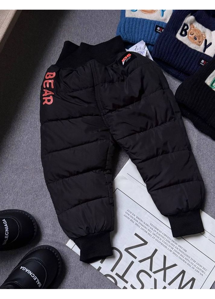 Утеплені штани Bear чорні 10179 No Brand (308790706)