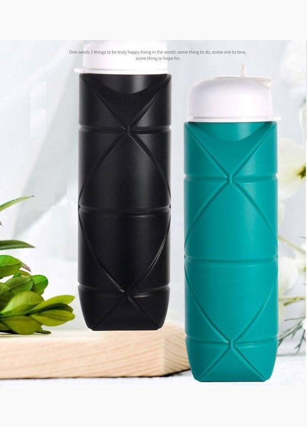 Складана силіконова пляшка для води та напоїв з карабіном 600 мл (R051121) Water Bottle (358222023)