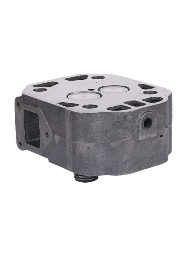 Головка цилиндра в сборе ZH1115N YBX (363132196)