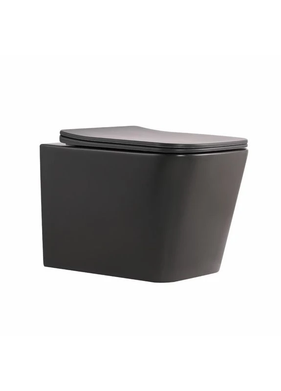 Унитаз подвесной Tern Ultra Quiet 520×345×325 мм, Anthracite, с сиденьем Slim Duroplast / Soft-close / Quick Release Qtap (397570658)