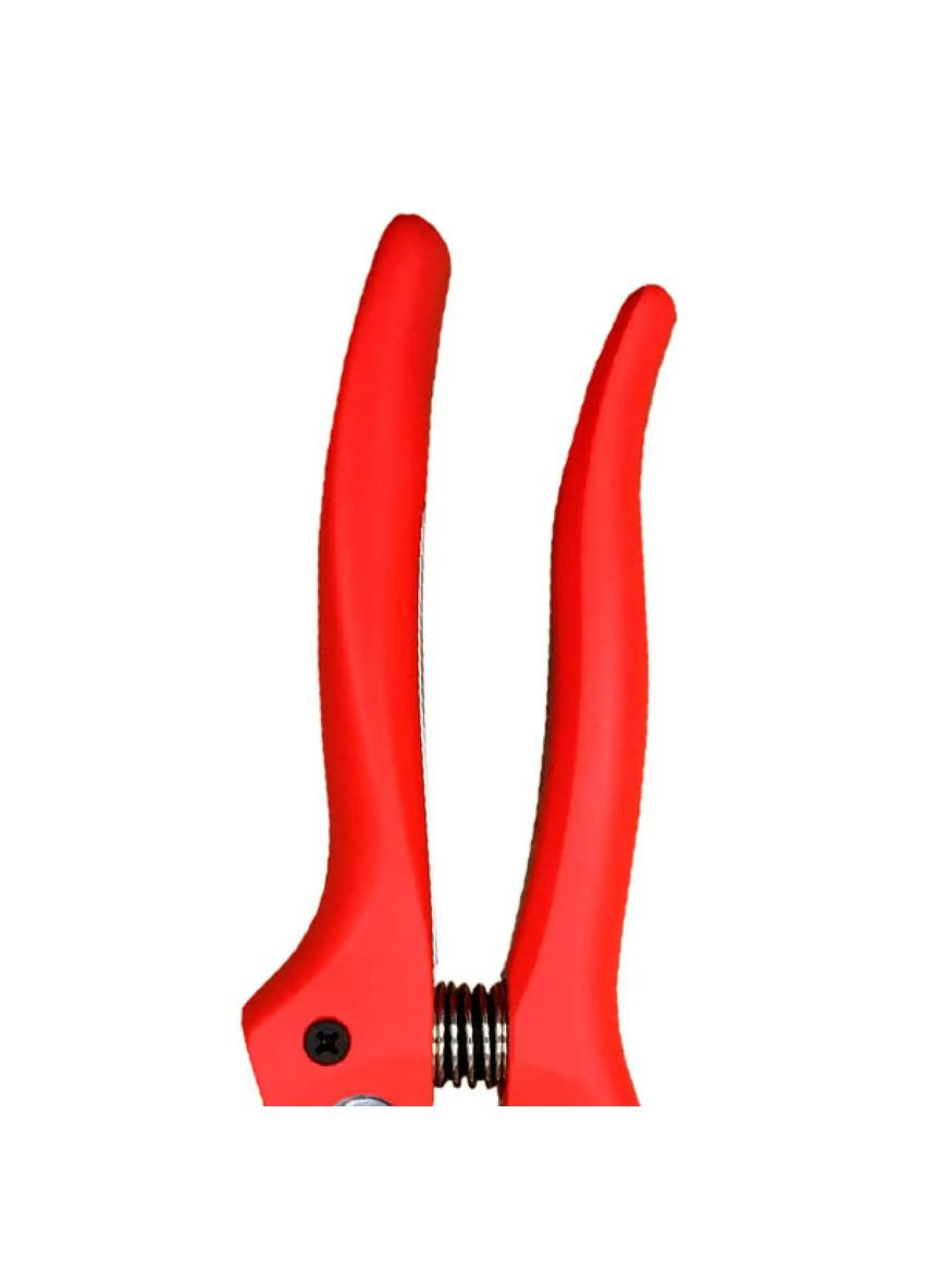 Секатор садовий однокомпонентний 107521 20 см Haisser (364770169)