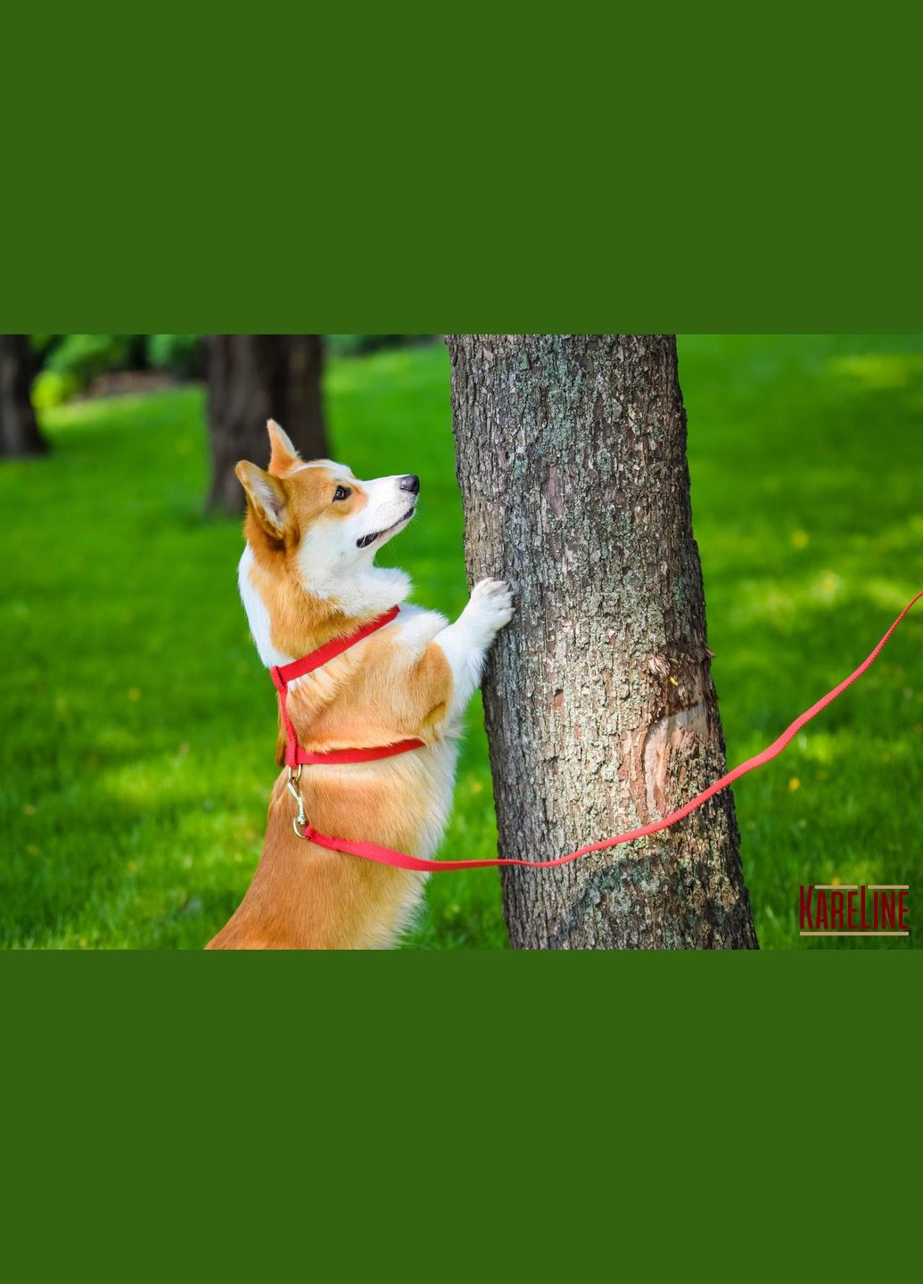 Поводок из брезента 20 мм 5000 мм Kareline (339075481)