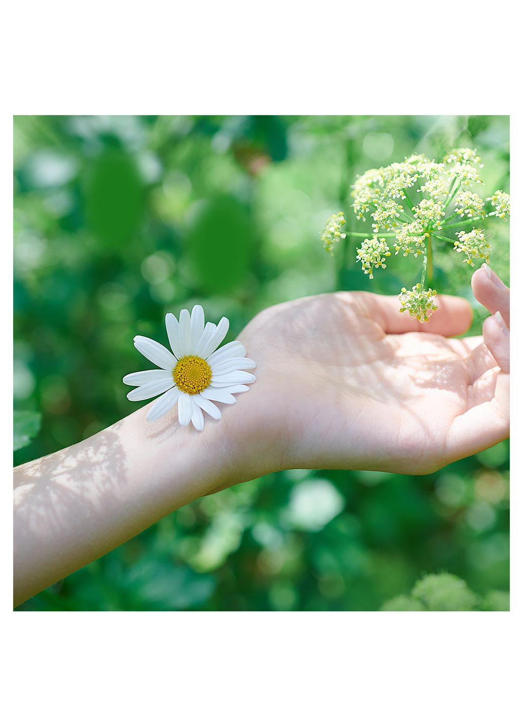 Гигиенические прокладки Ultra Normal Plus, 9 шт. Naturella (328231453)