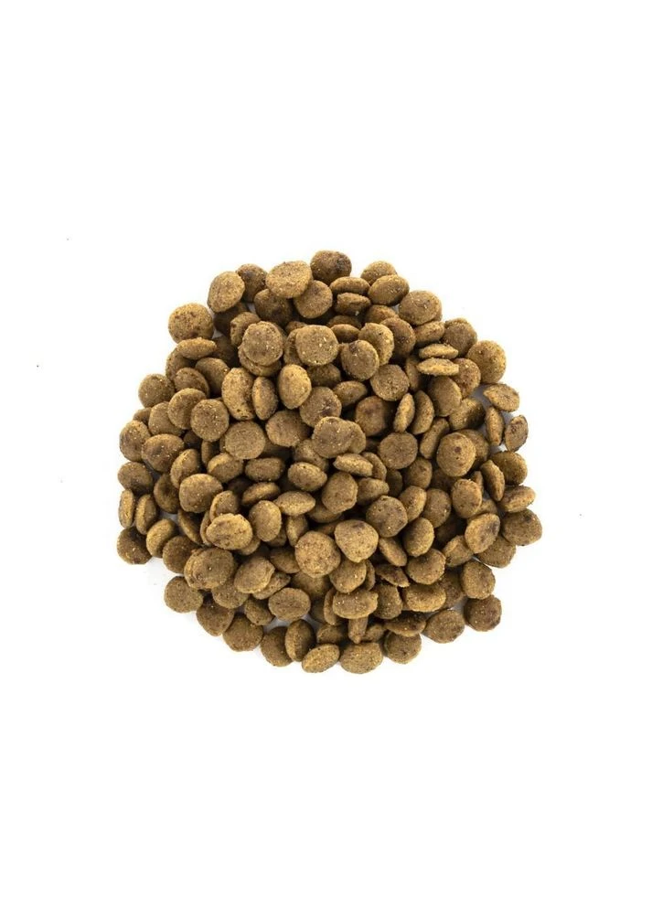 Корм сухой Cat Grain Free Large Power Vitality для взрослых котов крупных пород с уткой и курицей 4 Brit Care (388184937)