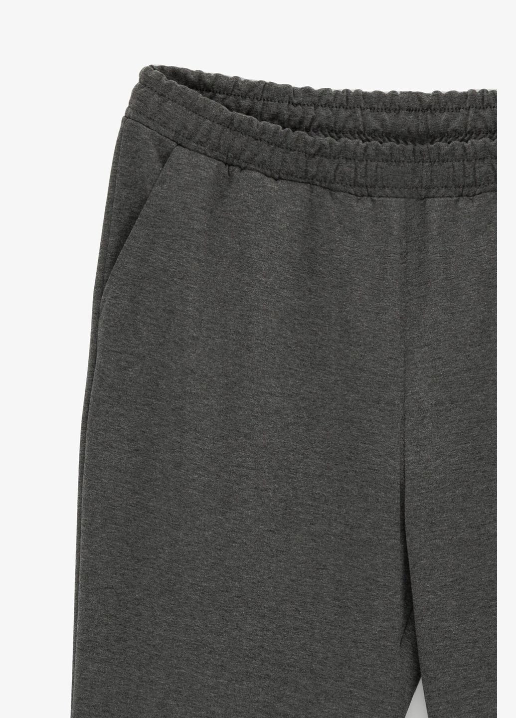 Темно-серые спортивные демисезонные брюки Demos